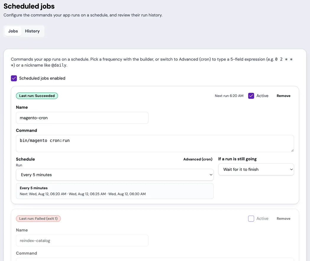The Scheduled Jobs page for an example App shows scheduling enabled and two saved jobs. magento-cron is active with last run Succeeded and next run 6:20 AM; reindex-catalog is inactive with last run Failed (exit 1).