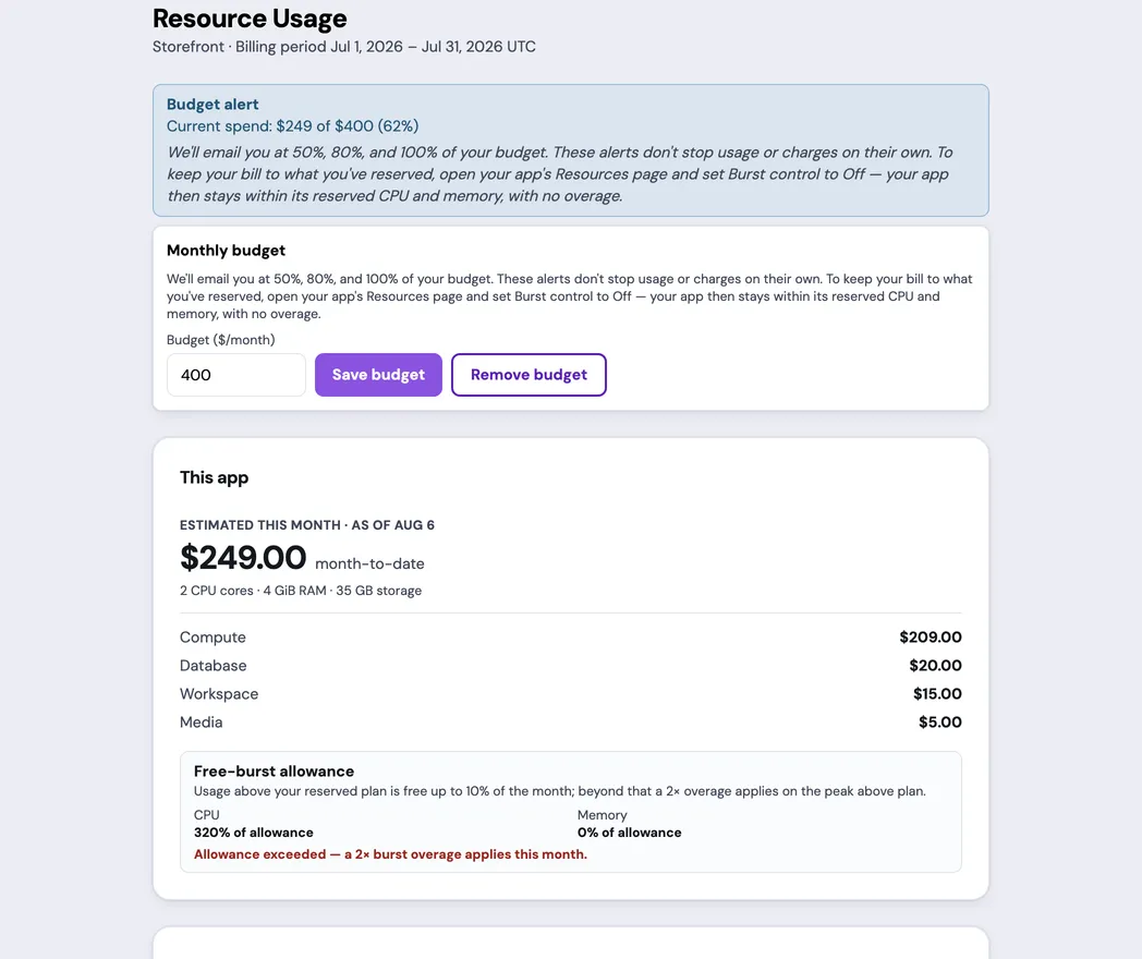 The Resource Usage page for an example App, showing a budget alert with $249 of $400 spent, a $249 month-to-date estimate with component costs, and CPU at 320% of its free-burst allowance with a 2× overage warning.